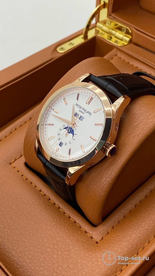 Часы Patek Philippe ANNUAL CALENDAR — изображение 2