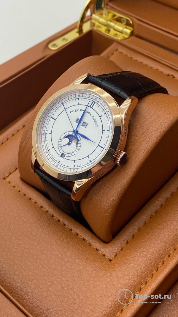 Часы Patek Philippe ANNUAL CALENDAR — изображение 2