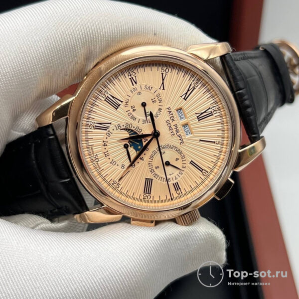Часы Patek Philippe Grand Complications — изображение 2